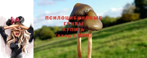 бошки Армянск