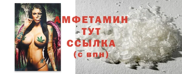 ПСИЛОЦИБИНОВЫЕ ГРИБЫ Арсеньев
