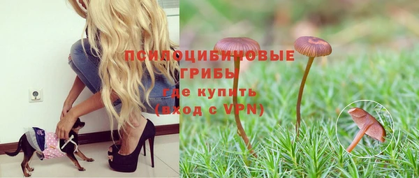 синтетический гашиш Алексин