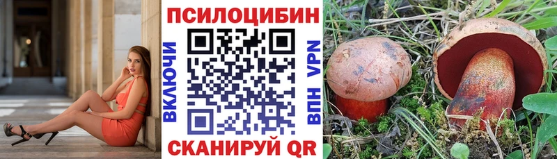 Псилоцибиновые грибы Magic Shrooms  закладка  Поронайск 